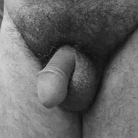 Penis Galerisi. Şekil - 5