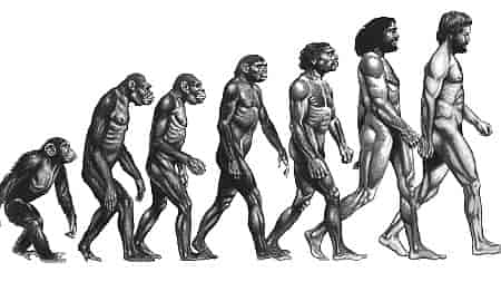 Эволюция по Дарвину