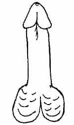 Форма мужского члена, напоминающая гриб