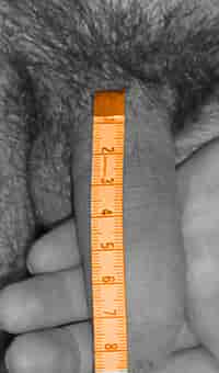 Измерение размеров полового члена в состоянии 